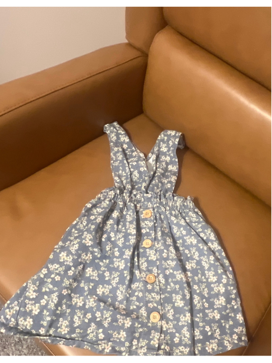 Zara Other - Girls Zara Floral Button-Front Dress Blue White Size 4-5